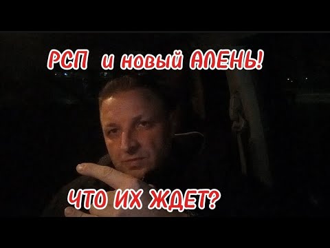 Видео: РСП И НОВЫЙ АЛЕНЬ!ГДЕ МОЗГИ?