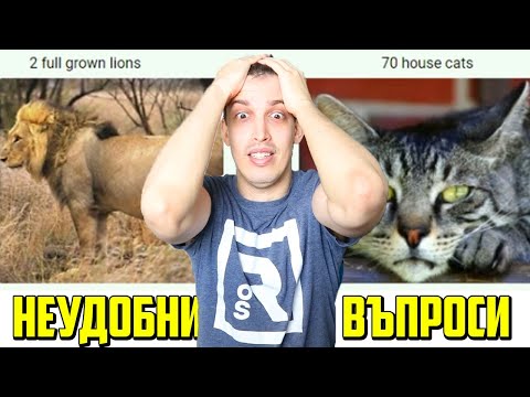 Видео: ДА МЕ АТАКУВАT 2 ЛЪВА ИЛИ 70 КОТКИ?
