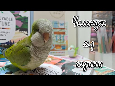 Видео: Челендж 24 години малюю розмальовки за номерами від Dessain et Tolra 