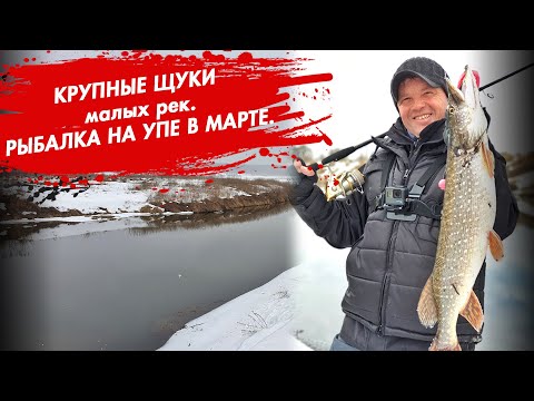 Видео: Рыбалка на Упе в марте. КРУПНЫЕ ЩУКИ малых рек.