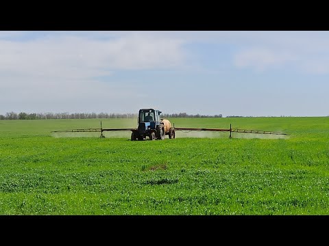 Видео: Опрыскивание оз.пшеницы#МТЗ-80+ ОП-2000
