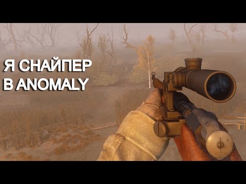 Видео: "Один выстрел" - но это Аномали. STALKER Anomaly Epilogue #15