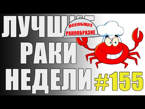 Видео: ЛРН выпуск №155. СЛИПШИЕСЯ РАКООБРАЗНИКИ и МНОГОКНОПОЧНЫЙ АРТАВОД [Лучшие Раки Недели]