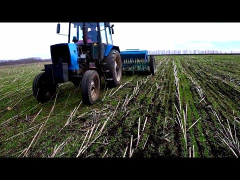 Видео: Карбамид+ Селитра - подкормка озимой пшеницы весной сеялкой в землю🤠 хочу Чудо результата