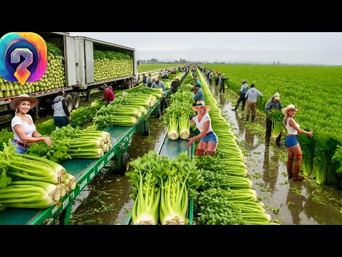 Видео: Самые МОЩНЫЕ сельскохозяйственные машины — Как фермеры собирают МИЛИЛАРДЫ тонн урожая!