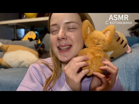 Видео: ASMR🐾С котиком🐈‍⬛Тихий голос/Мурчание/Триггеры #asmr #асмр #мурчание 