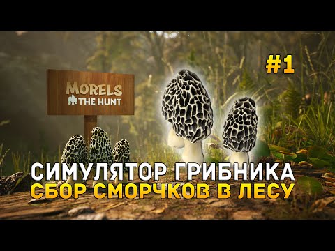 Видео: Симулятор грибника. Сбор Сморчков в лесу - Morels: The Hunt #1 (Первый Взгляд)