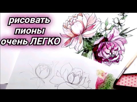 Видео: Как рисовать пионы СКЕТЧИНГ видеоурок пионы графика+акварель