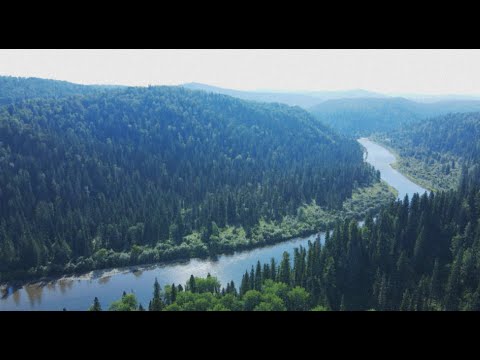 Видео: Очередное путешествие в ГОРЫ. РЫБАЛКА на ХАРИУСА!!! Таёжный быт| Рыбалка| Готовим| +18|
