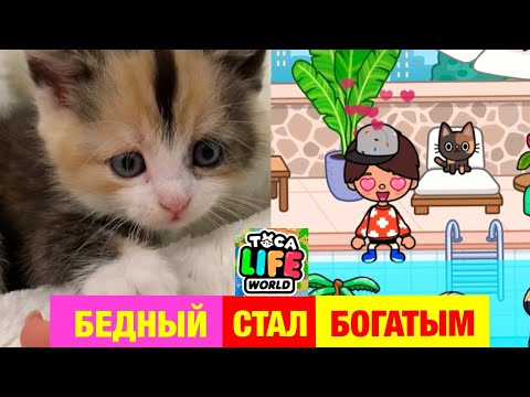 Видео: БЕДНЫЙ Спасённый КОТЁНОК СТАЛ БОГАТЫМ в ТОКА БОКА 😿🍼💎💰 Toca Life World
