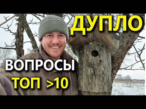 Видео: Вопросы о домиках для птиц. Дуплянка из Бобруйска