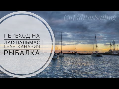 Видео: Переход на Лас Пальмас, регата Оптимистов, морская рыбалка | Жизнь на яхте  Cupiditas