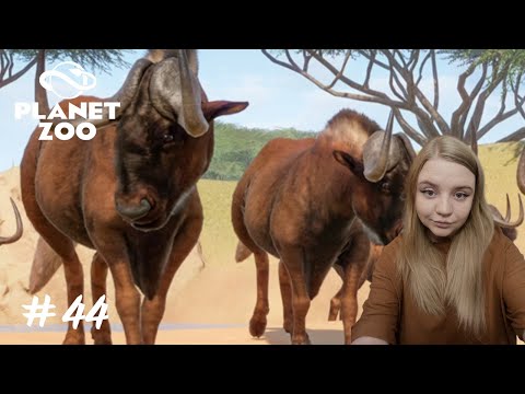 Видео: Гну? Гну! ➤ Planet Zoo #44