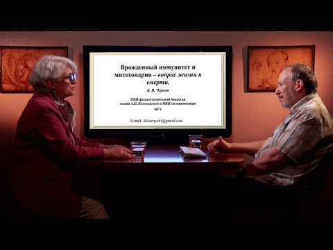 Видео: «Врожденный иммунитет и митохондрии – вопрос жизни и смерти». Гость: Черняк Б.В.