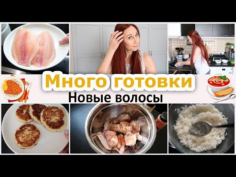 Видео: На кухне с белкой. Много готовлю. Новые волосы