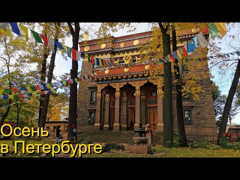 Видео: Осень в Петербурге