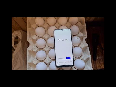 Видео: 150 кур несушек. Сколько нужно времени в день на содержание 150 кур несушек!?