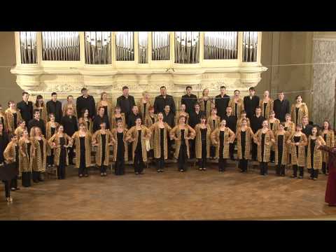 Видео: Русская народная песня "Ах вы сени, мои сени"