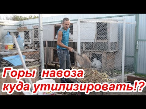 Видео: Горы навоза исчезают в компостной куче. ПОЧЕМУ?