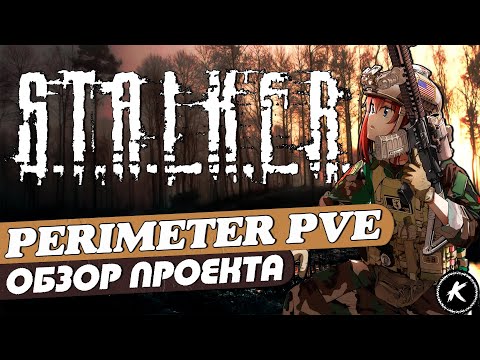 Видео: DAYZ | ОБЗОР ПРОЕКТА PERIMETER PVE I #dayz #stalker