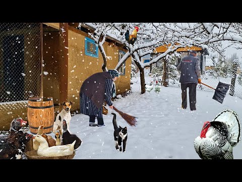 Видео: Снег Выпадает в Горной Деревне Азербайджана. Лучшие Рецепты в 2-часовом Видео.