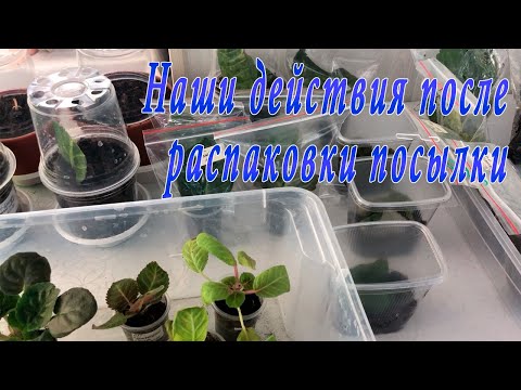 Видео: Наши действия после распаковки посылки