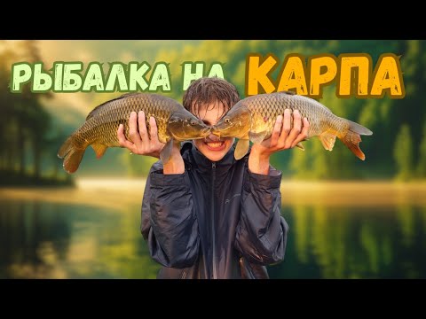 Видео: Рыбалка на КАРПА: шторм, адреналин и КРАСИВЫЕ рыбы!