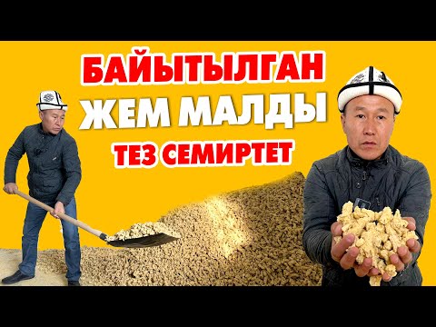 Видео: МАЛ жандыкка БАЙЫТЫЛГАН ЖЕМ бериңиз ~ ЭТТYY анан СYТYY болот