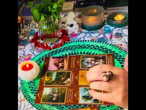 Видео: 🛡️🪬🛡️» Что ☝️😳☝️ Тайное станет Явным для Вас в Ноябре‼️О чем вы 💯 % УЗНАЕТЕ «.‼️🛡️🪬таро онлайн 
