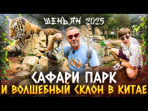 Видео: Путешествие в Шэньян 2025 - Сафари парк и волшебный склон