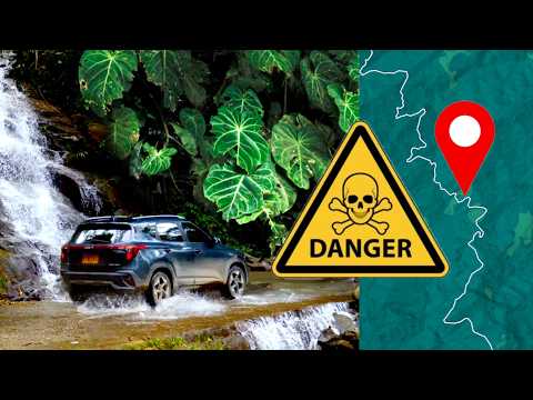 Видео: Вдоль этой опасной дороги растут растения, известные в Instagram