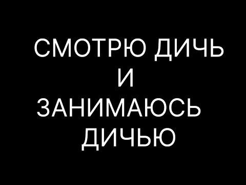 Видео: СМОТРИМ ВСЯКУЮ ДИЧЬ В ЛАЙКЕ И ТИКТОКЕ