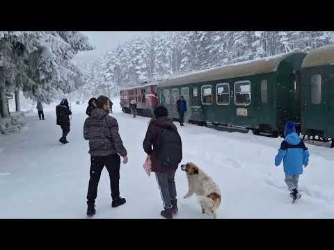 Видео: Родопска Теснолинейка