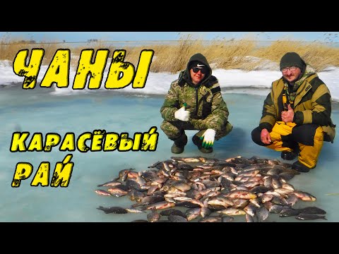 Видео: КАРАСЬ КЛЮЁТ СРАЗУ! ЭТО Карасёвый РАЙ - ЭТО ЧАНЫ! Двое суток на Льду с рыбалкой на КАРАСЯ!