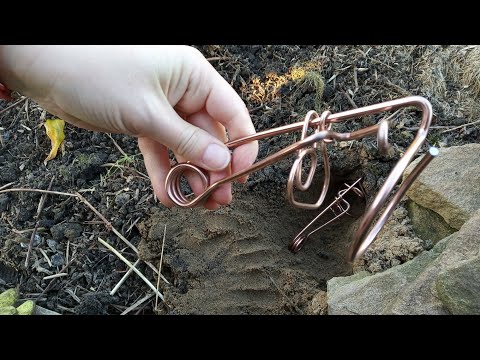 Видео: Как поймать крота кротоловкой
