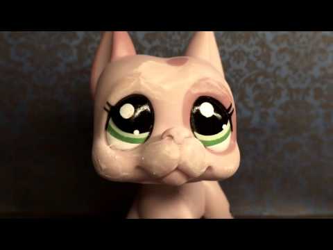 Видео: Lps Как стереть ручку с Пета? Теперь это возможно!