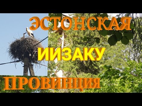 Видео: Провинция Эстонии - Ийзаку 🇪🇪Как живут в Эстонии?Как живет провинция?Мы из Эстонии.Влог
