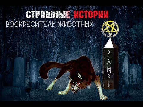 Видео: Страшные истории. Воскреситель животных.