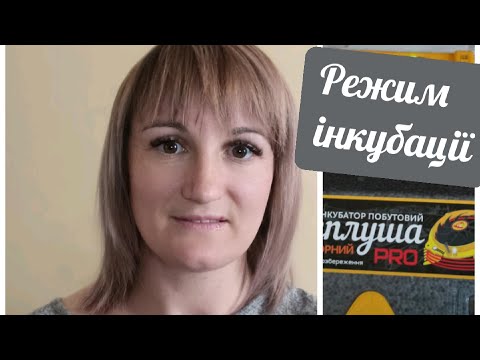 Видео: Режим інкубації та лайфхаки в інкубаторі "Теплуша"... Серія друга