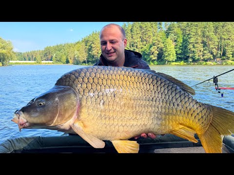 Видео: МЕГАЛОДОН серед Коропів. Як я побив свій рекорд!
