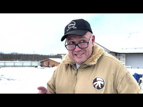 Видео: Фермерская жизнь. Домашняя ферма - как это устроено? На примере МОИ perepela Северо-Запад