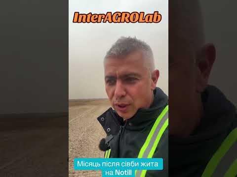 Видео: Місяць після сівби жита Notill