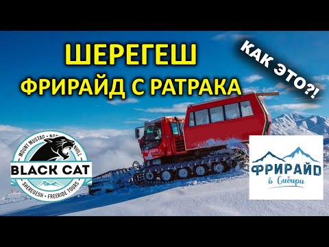 Видео: ФРИРАЙД НА РАТРАКАХ ШЕРЕГЕШ / ПАУДЕР ДЕНЬ