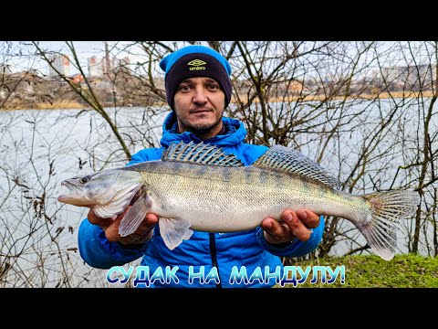 Видео: Судак на мандулу! Джиг на реке.