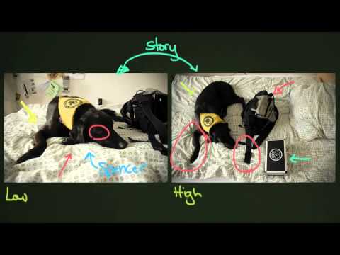 Видео: Композиция: ракурсы и точки обзора