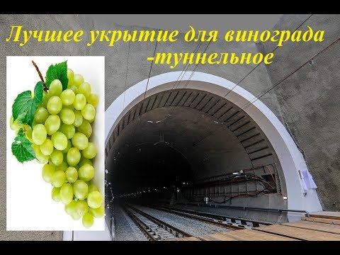 Видео: Лучшее укрытие для винограда - туннельное