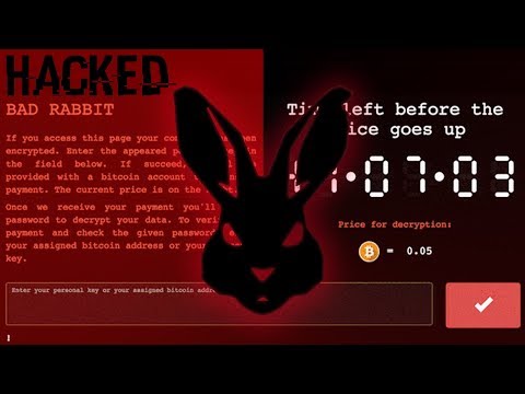 Видео: Bad Rabbit - вирус, который не смог заразить компьютер
