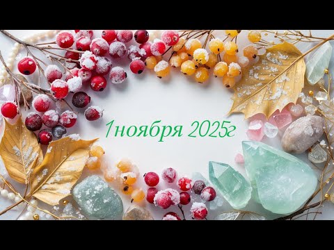 Видео: Новое поступление 1-11-2025