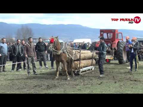 Видео: ВИДЕО: Конни състезания на Тодоровден е Гоце Делчев