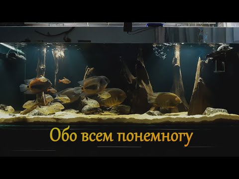 Видео: Обо всем понемногу...